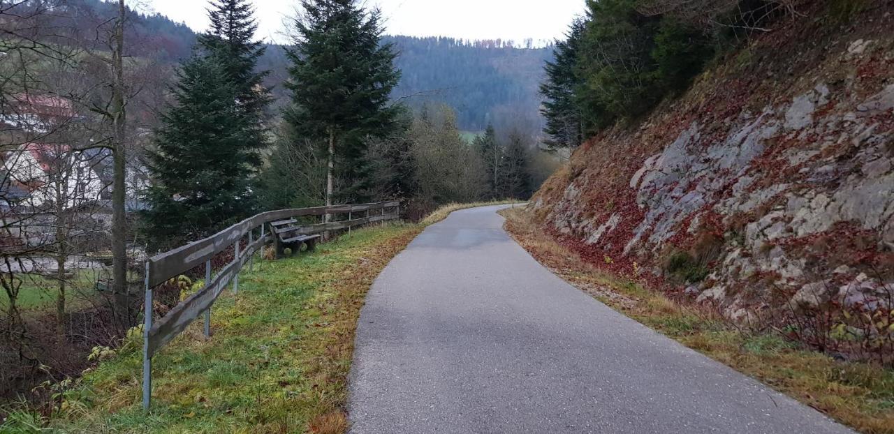 Ferienwohnung "Hirschlein" Im Schwarzwald Baiersbronn Luaran gambar