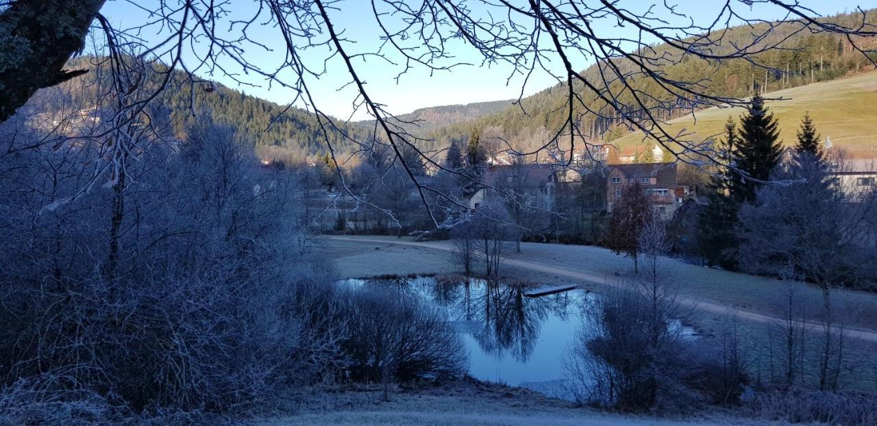 Ferienwohnung "Hirschlein" Im Schwarzwald Baiersbronn Luaran gambar