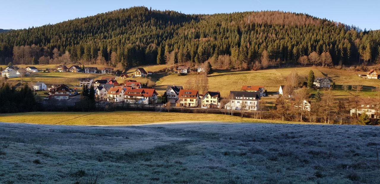 Ferienwohnung "Hirschlein" Im Schwarzwald Baiersbronn Luaran gambar