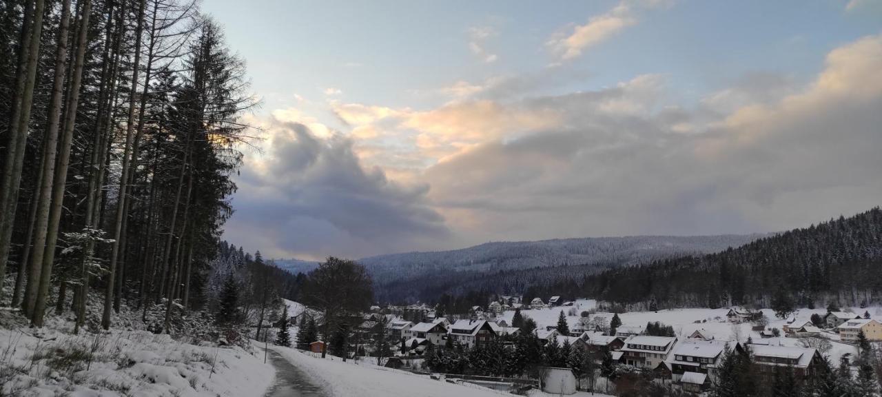 Ferienwohnung "Hirschlein" Im Schwarzwald Baiersbronn Luaran gambar