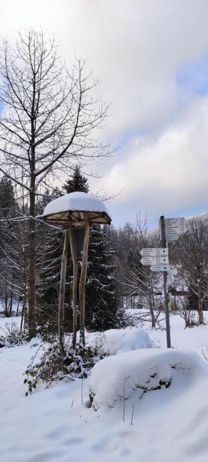 Ferienwohnung "Hirschlein" Im Schwarzwald Baiersbronn Luaran gambar