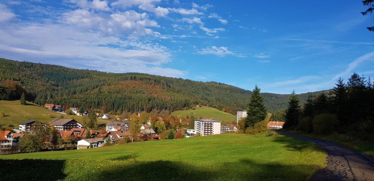 Ferienwohnung "Hirschlein" Im Schwarzwald Baiersbronn Luaran gambar